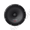 PIONEER TS-M1610PRO